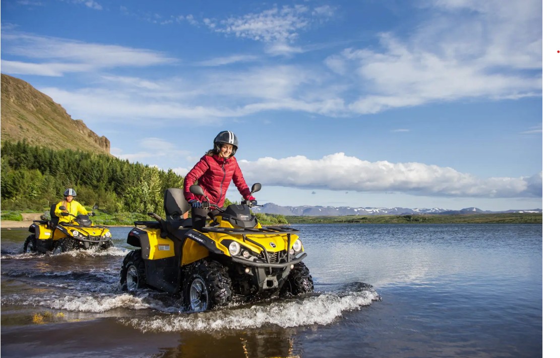 electronic visa portal