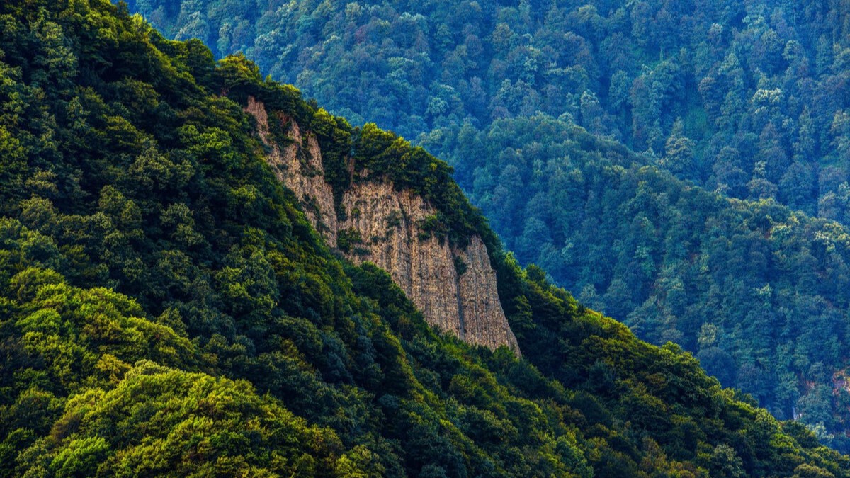 Subtropical landscape in Southeast Azerbaijan with green forests and tea plantations