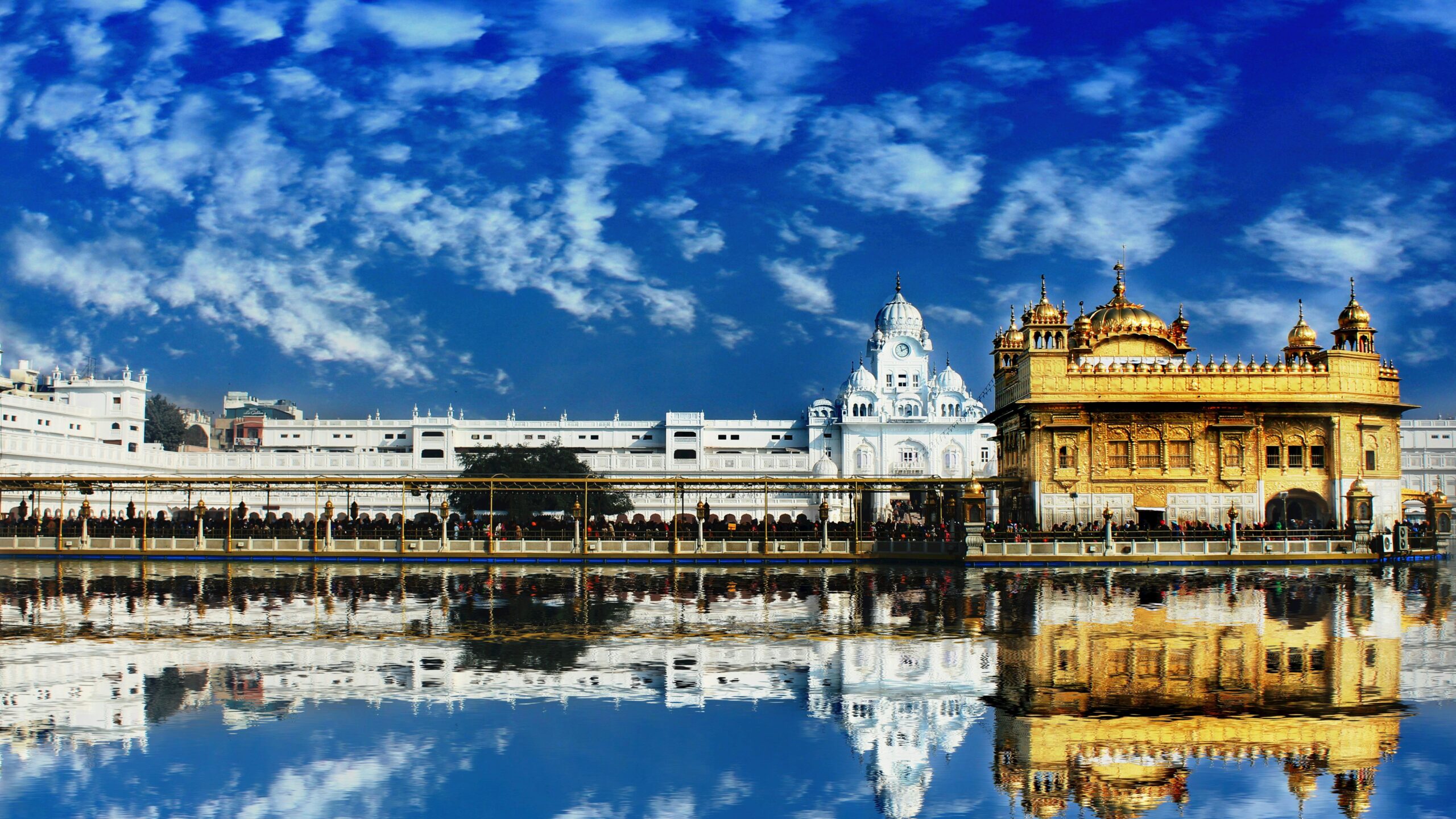 electronic visa portal