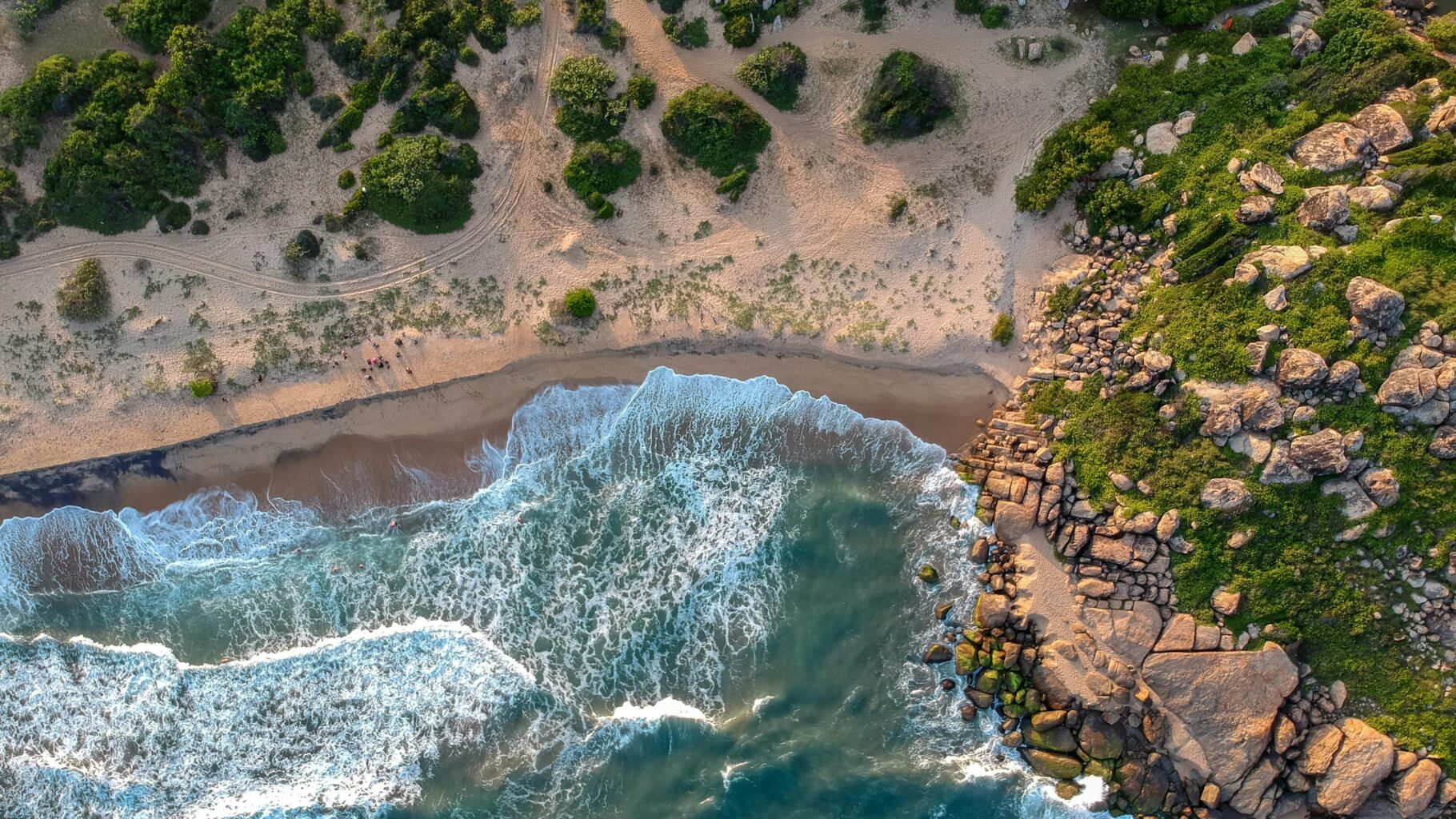 Sri Lanka beach tropical landscape tea plantations