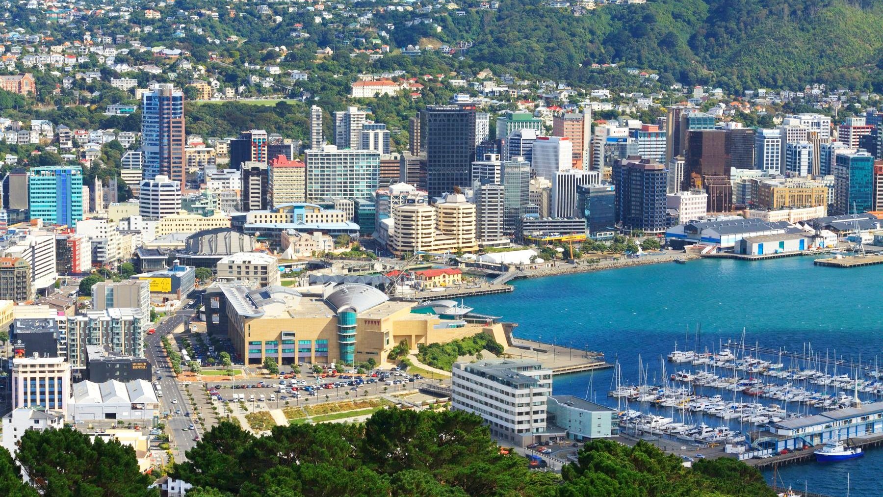 View of Wellington